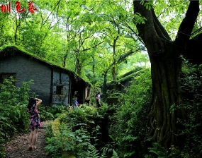 为爸妈恩爱留影