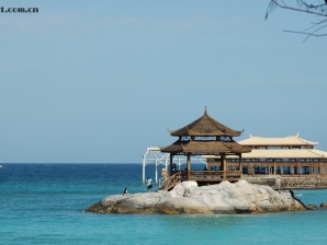 D70S+70~300mm 三亚杂图