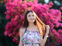 2014年11月 蓮花山公園簕杜鵑人像攝影 (2 of 2)