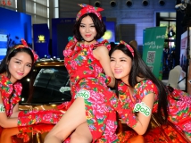 2015年6月 深圳汽車博覽會 Golo