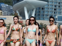 美女们请集中!!