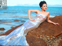 新人汇报：如果只是一只鱼