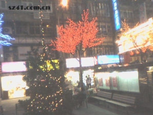 饒河街(拍的不好)